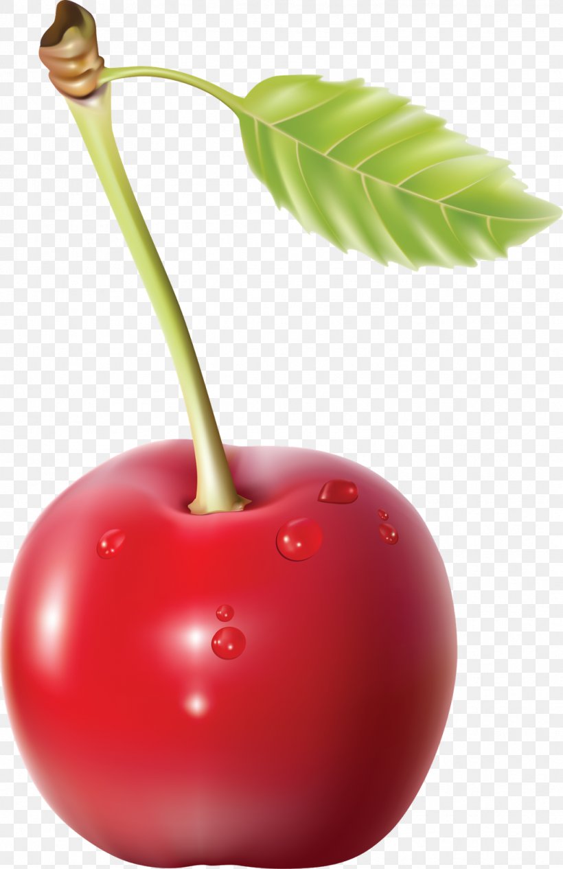 Cherries, PNG, 1036x1600px, Cherry, Apple, Cherry Blossom, Display Resolution, Food Download Free