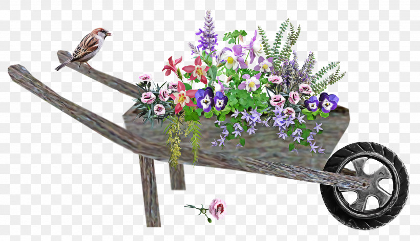 Cut Flowers Purple Flora Cart Flower, PNG, 2560x1472px, Cut Flowers, Cart, Flora, Flower, Purple Download Free