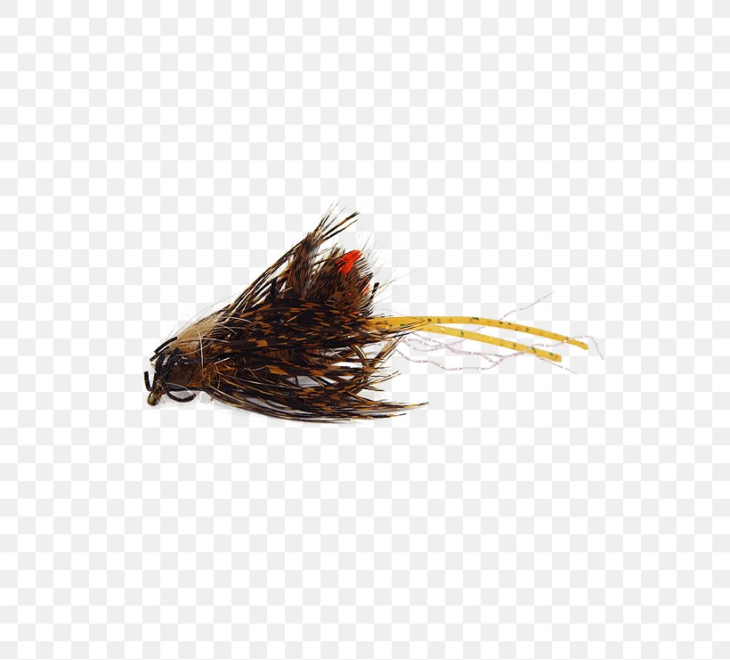 Holly Flies Blue Crayfish Louisiana Crawfish Artificial Fly, PNG, 555x741px, Holly Flies, Artificial Fly, Beak, Blue Crayfish, Bread Download Free