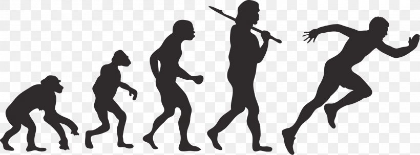 Human Evolution Homo Sapiens Darwinism, PNG, 2117x783px, Evolution, Black And White, Charles Darwin, Choreography, Darwinism Download Free