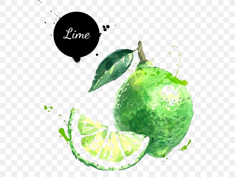 Lemon-lime Drink Lemon-lime Drink Key Lime Illustration, PNG, 549x620px, Lime, Citron, Citrus, Drawing, Food Download Free