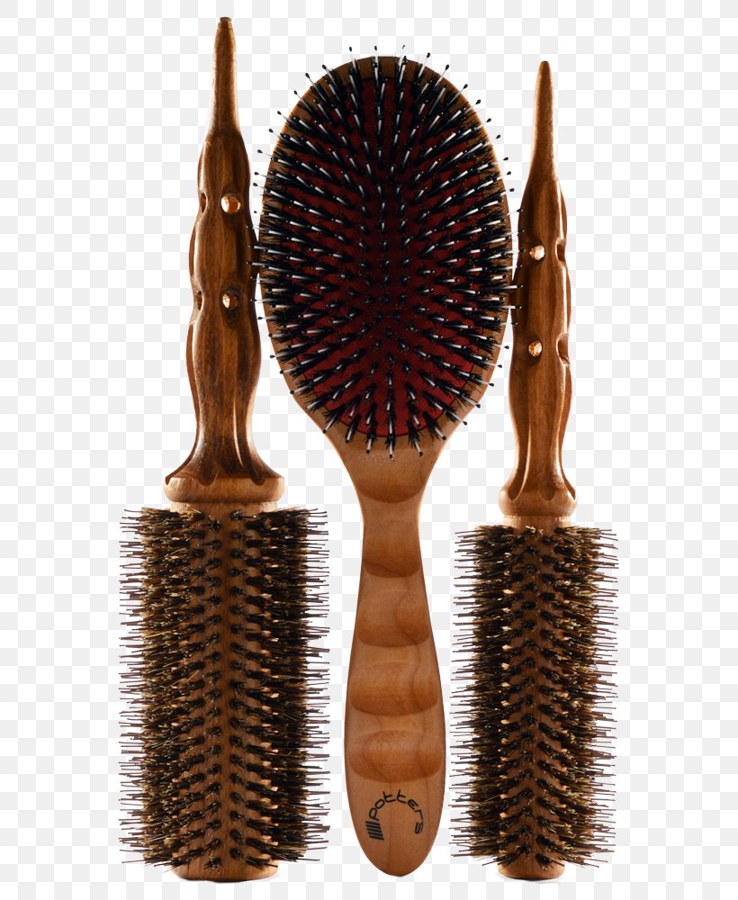 Potter´s Technology Productos Profesionales De Belleza Brush Børste Science, PNG, 800x1000px, Brush, Escutcheon, Fedex, Financial Quote, Furniture Download Free