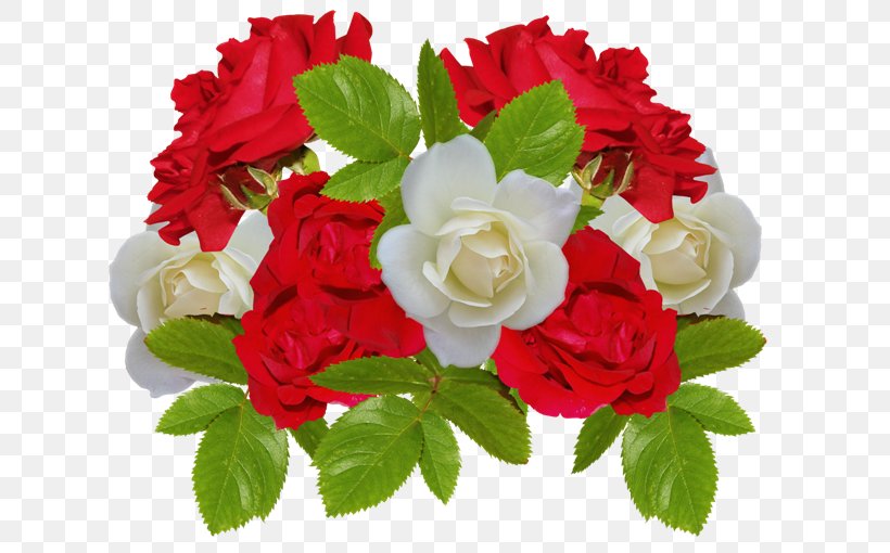 Rose Al Birk Flower Clip Art, PNG, 650x510px, Rose, Annual Plant, Color, Cut Flowers, Floral Design Download Free