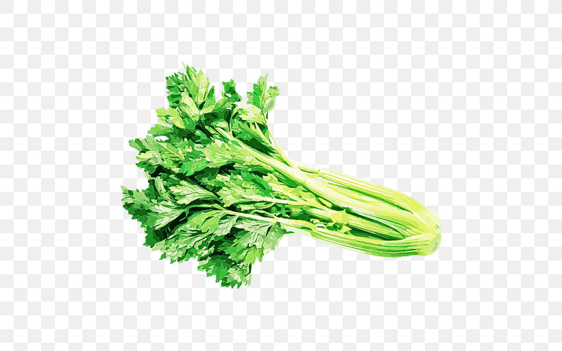 Vegetable Leaf Vegetable Food Plant Celery, PNG, 512x512px, Vegetable, Celery, Chinese Celery, Choy Sum, Food Download Free