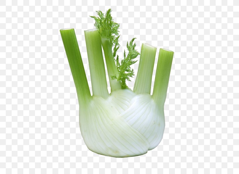 Fennel Vegetable Herb Carrot Fruit, PNG, 600x600px, Fennel, Anise, Apiaceae, Bean, Carrot Download Free