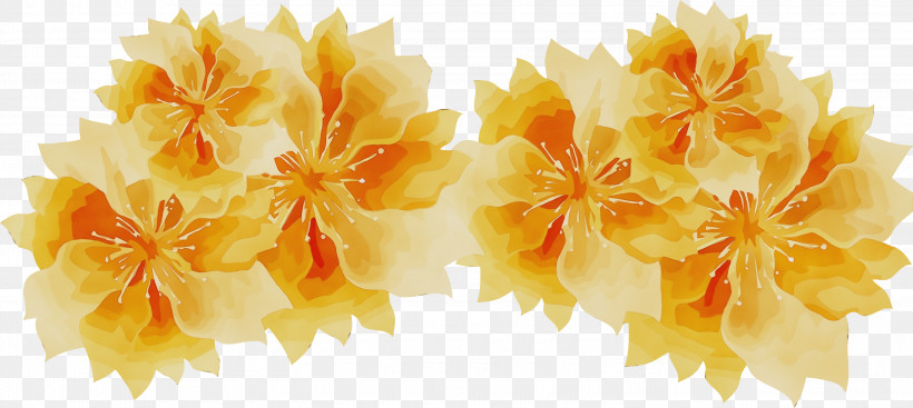 Flower Petal Yellow Computer Spring, PNG, 3000x1344px, Watercolor Flower, Biology, Branching, Computer, Flower Download Free