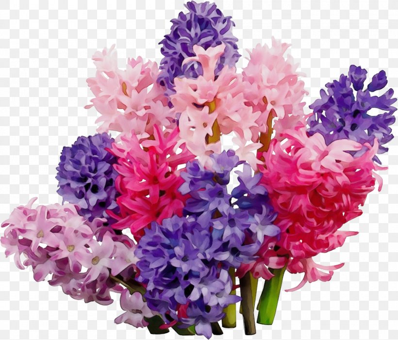 Lavender, PNG, 1000x855px, Watercolor, Cut Flowers, Flower, Flowering Plant, Hyacinth Download Free