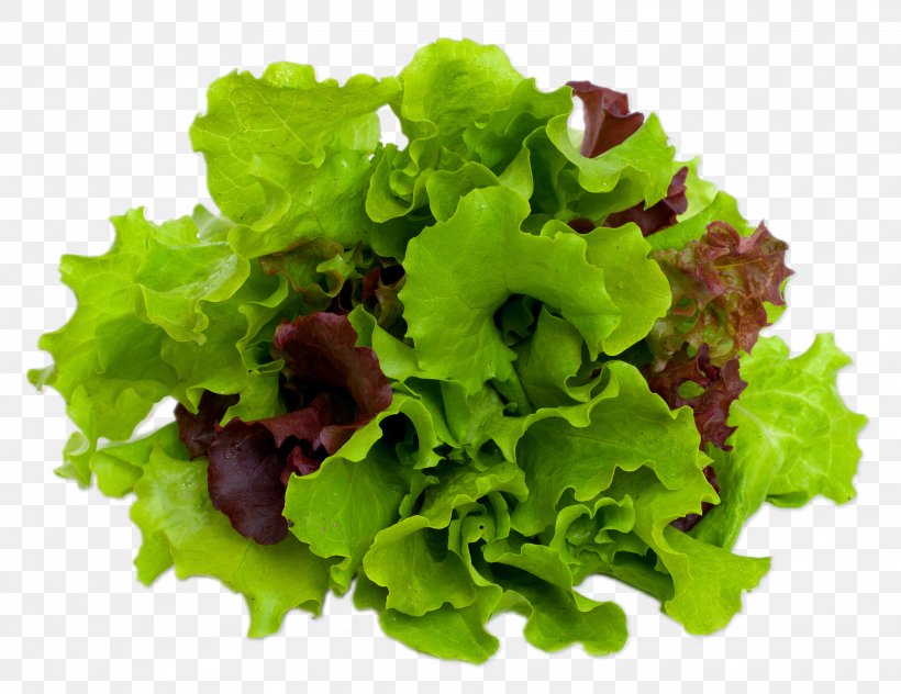 Mesclun Caesar Salad Lettuce Leaf Vegetable, PNG, 3014x2325px, Mesclun, Caesar Salad, Cooking, Endive, Food Download Free