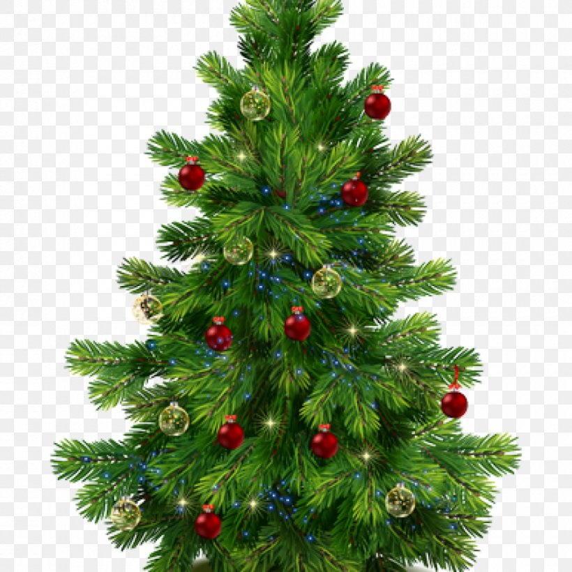 Noble Fir Pine Tree Clip Art, PNG, 900x900px, Noble Fir, Abies Grandis, Branch, Christmas, Christmas Decoration Download Free