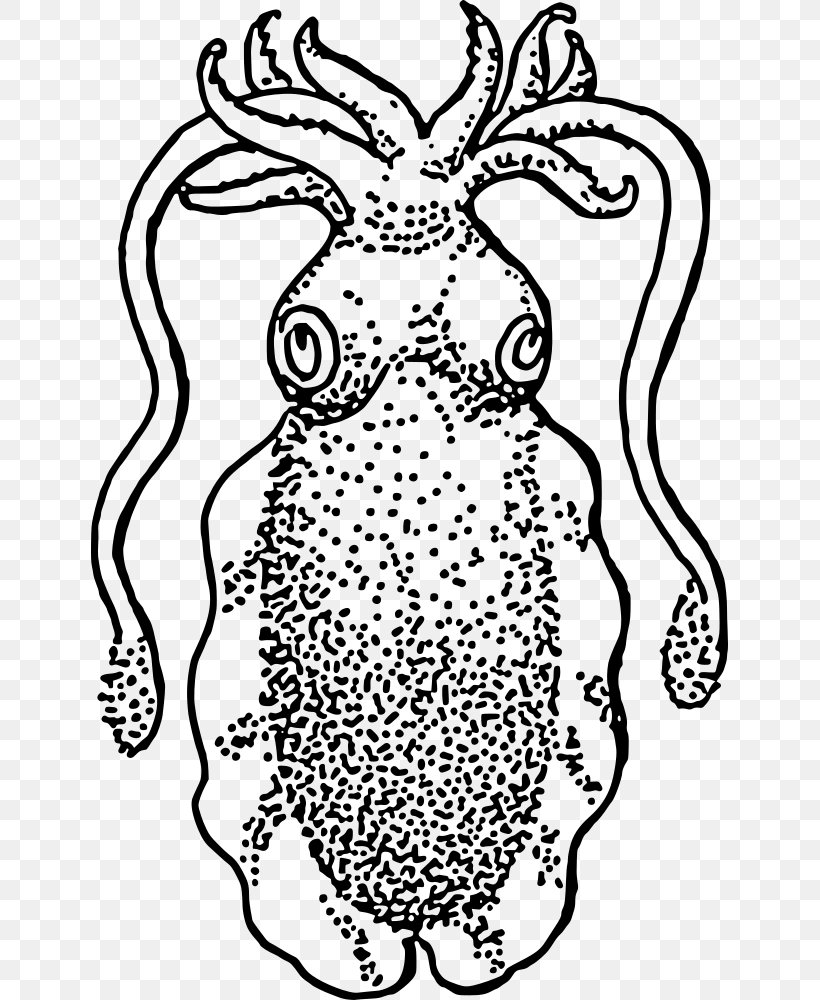 Squid Cuttlefish Drawing Clip Art, PNG, 637x1000px, Watercolor, Cartoon, Flower, Frame, Heart Download Free