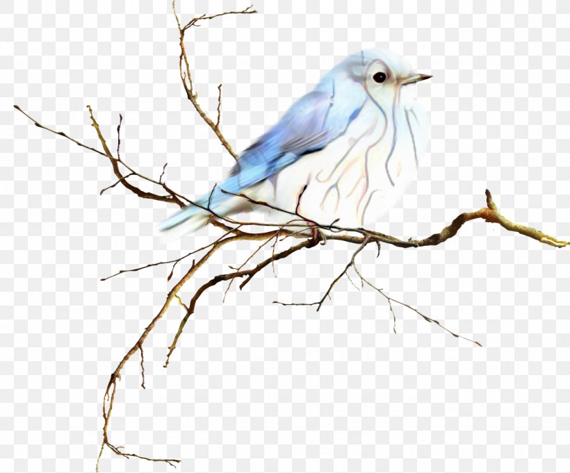 Watercolor Background, PNG, 1277x1062px, Bird, American Sparrows, Beak, Blue Jay, Bluebird Download Free