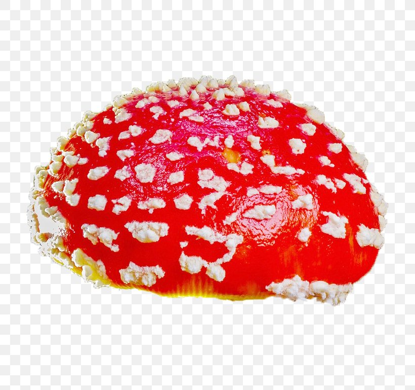 Amanita Muscaria Agaric Mushroom Fungus Boletus Calopus, PNG, 769x769px, Amanita Muscaria, Agaric, Amanita, Arthritis Pain, Boletus Download Free