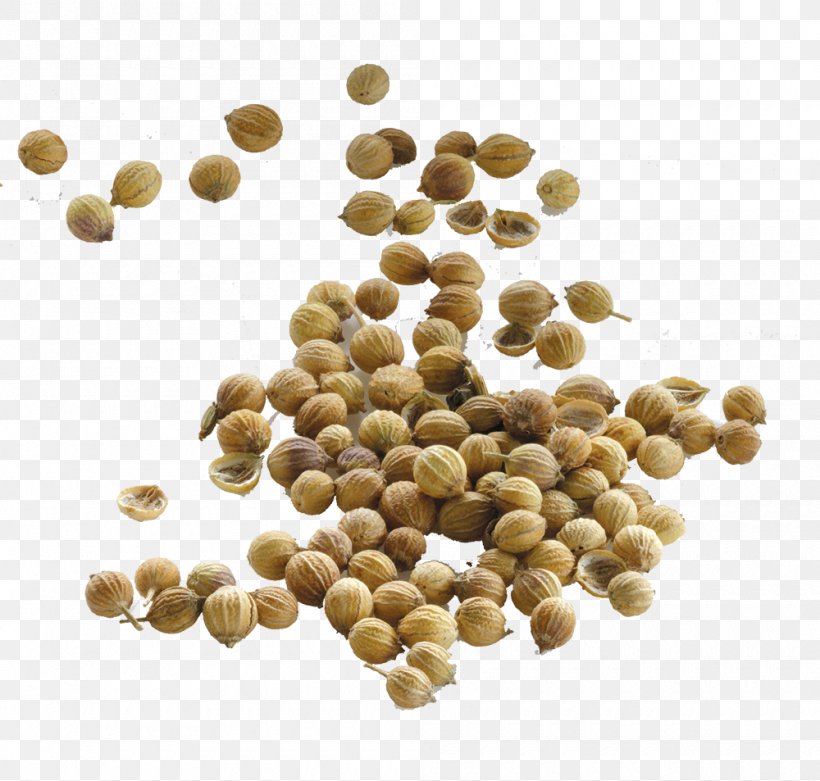Coriander Seed Food Cumin Yogi Tea, PNG, 1000x953px, Coriander, Allspice, Basil, Bean, Cardamom Download Free