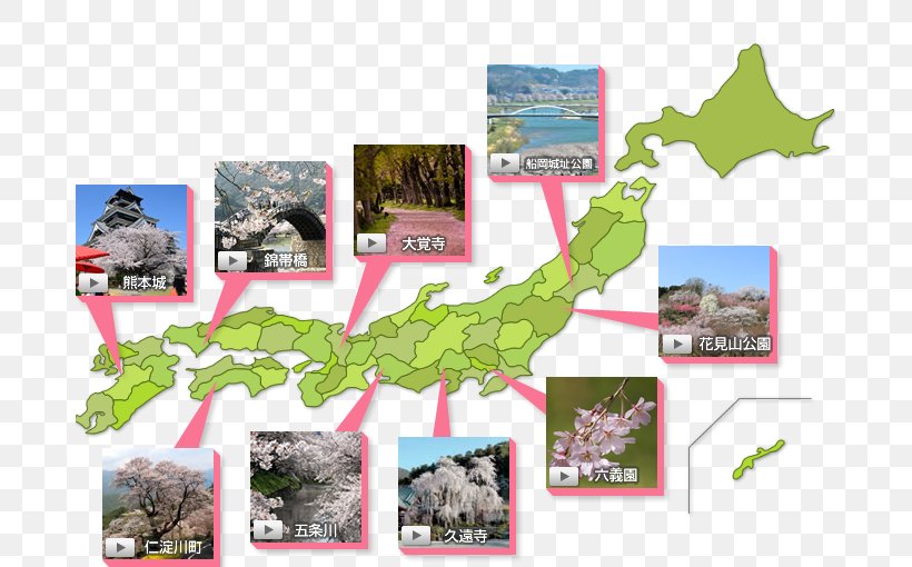 Kyoto Product Map Japanese People, PNG, 683x510px, Kyoto, Flora, Japan, Japanese People, Map Download Free