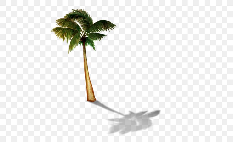 Arecaceae Hit Single Summer Hit 0, PNG, 500x500px, 2017, 2018, Arecaceae, Arecales, Branch Download Free
