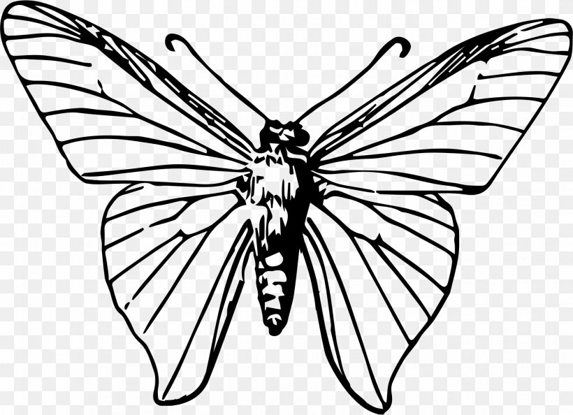 Butterfly Insect Clip Art, PNG, 1836x1332px, Butterfly, Animal, Arthropod, Artwork, Black And White Download Free