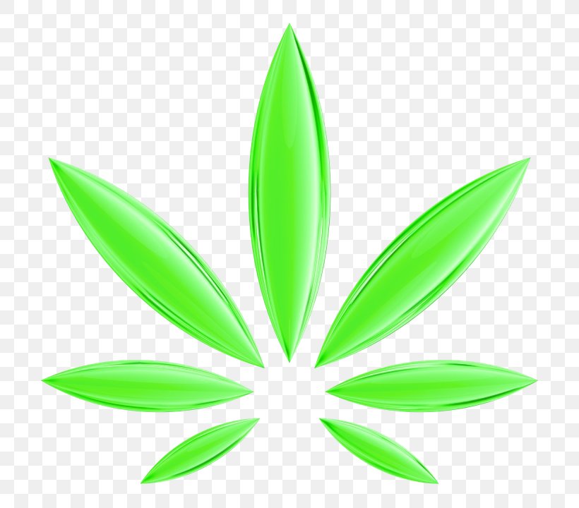 Cannabis Leaf Background, PNG, 720x720px, Watercolor, Botany, Cannabidiol, Cannabis, Cannabis Cultivation Download Free