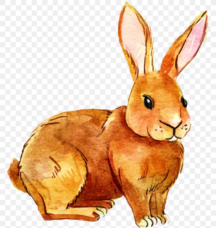 Domestic Rabbit Hare Easter Bunny Whiskers, PNG, 767x867px, Domestic Rabbit, Animal Figure, Brown Hare, Easter, Easter Bunny Download Free