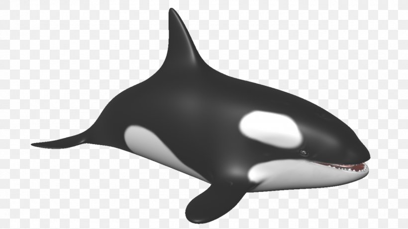 Porpoise Killer Whale Marine Mammal Dolphin, PNG, 1280x720px, Porpoise, Animal, Animal Figure, Aquatic Animal, Cetacea Download Free