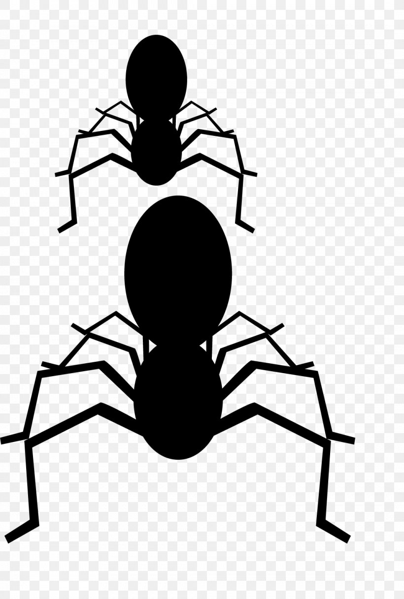 Spider Black And White Clip Art, PNG, 1066x1583px, Spider, Black, Black And White, Drawing, Google Images Download Free