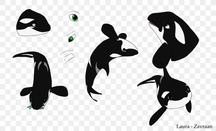 Penguin Flightless Bird Clip Art, PNG, 1145x697px, Penguin, Beak, Bird, Black And White, Carnivora Download Free