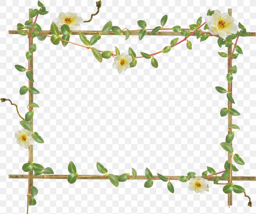 Picture Frames Clip Art, PNG, 1900x1583px, Picture Frames, Adobe Flash, Blossom, Branch, Computer Software Download Free
