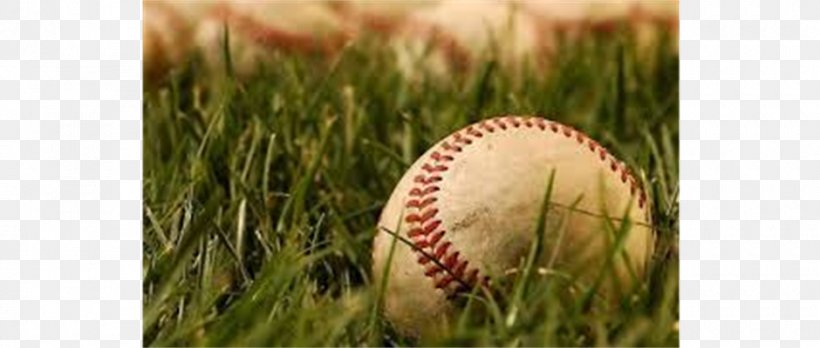 Baseball Field Wrigley Field MLB Softball, PNG, 940x400px, Baseball, Ball, Baseball Coach, Baseball Field, Commodity Download Free