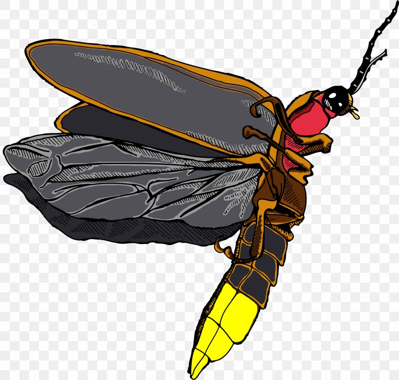 Bee Cartoon, PNG, 2415x2298px, Insect, Bee, Blister Beetles, Bug, Carpenter Bee Download Free