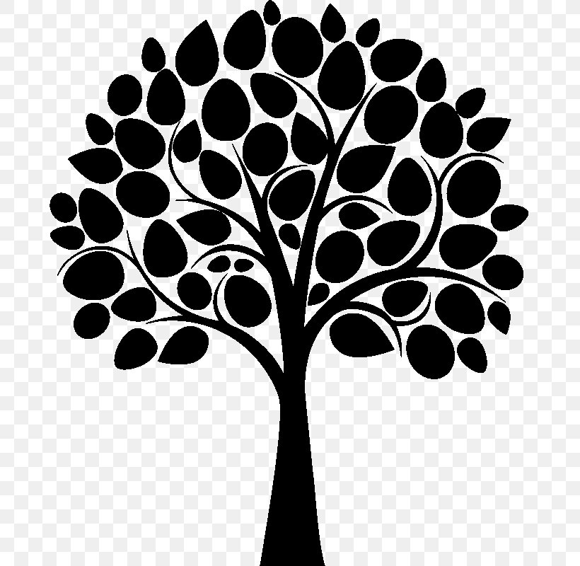 Branch Family Tree, PNG, 800x800px, Branch, Art, Black And White, Family, Family Tree Download Free
