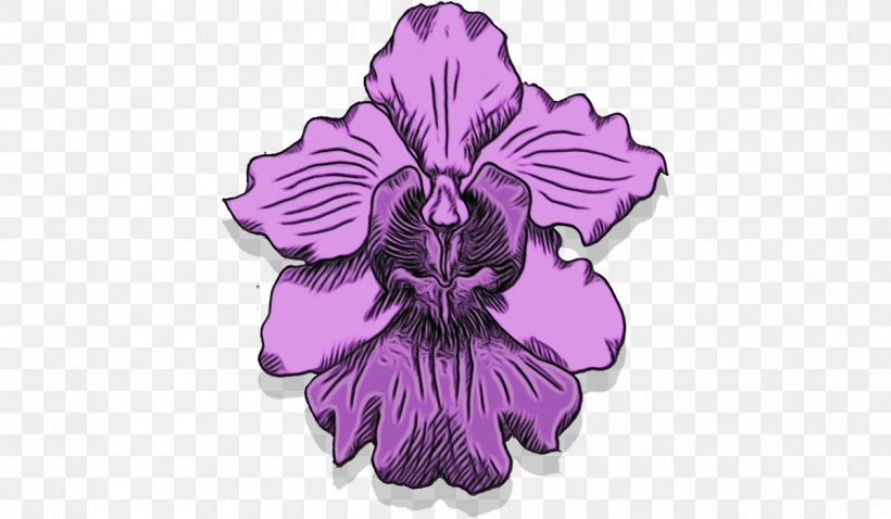 Violet Purple Flower Plant Petal, PNG, 1200x700px, Watercolor, Flower, Flowering Plant, Hawaiian Hibiscus, Hibiscus Download Free