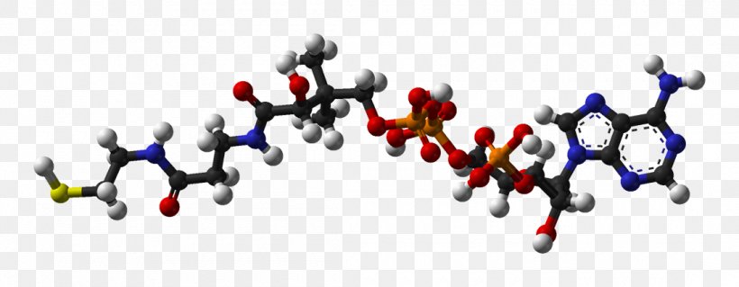 Coenzyme A Acetyl-CoA Molecule Cofactor, PNG, 1100x429px, Coenzyme A, Acetylcoa, Acid, Acylcoa, Art Download Free