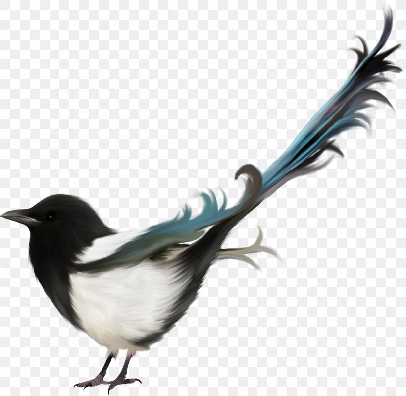 Eurasian Magpie Bird Clip Art, PNG, 1425x1390px, Eurasian Magpie, Beak, Bird, Crow Like Bird, Digital Image Download Free