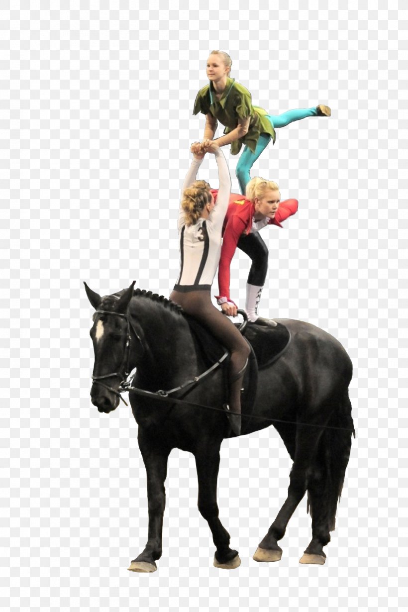 Horse Tack Equestrian Vaulting Rein, PNG, 1105x1658px, Horse, Animal Figure, Equestrian, Equestrian Centre, Equestrian Sport Download Free