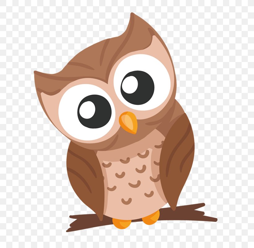 Owl T-shirt Cuteness Clip Art, PNG, 800x800px, Owl, Animal, Beak, Bird, Bird Of Prey Download Free