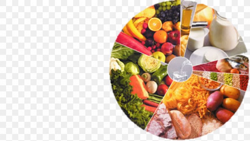 Curtido Food Balance Wheel Eating Salvadoran Cuisine, PNG, 921x521px, Curtido, Aflatoxin, Asian Food, Cuisine, Diet Food Download Free