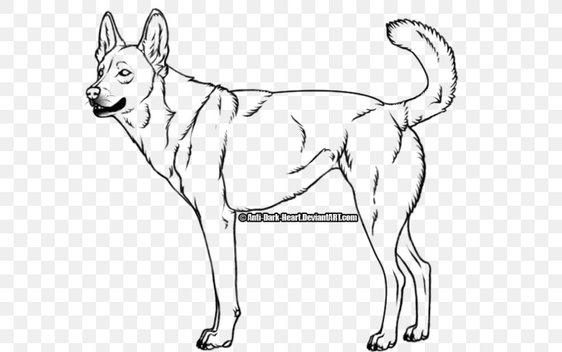 Dingo Golden Retriever Puppy Drawing Coyote, PNG, 600x513px, Dingo, Animal, Artwork, Black And White, Carnivoran Download Free
