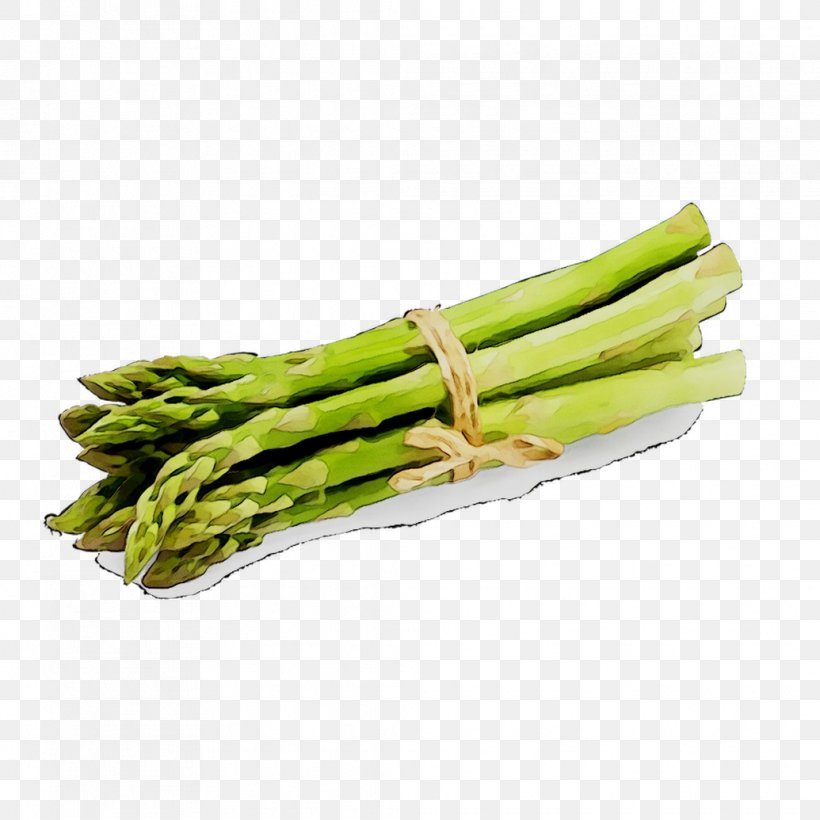 Weight Loss Diet Food Dieting Beslenme, PNG, 1035x1035px, Weight Loss, Article, Asparagus, Beslenme, Catering Download Free