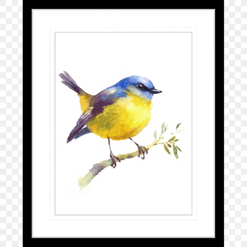 Bird Watercolor Painting Art Drawing, PNG, 1000x1000px, Bird, Art, Artist, Beak, Birds Download Free