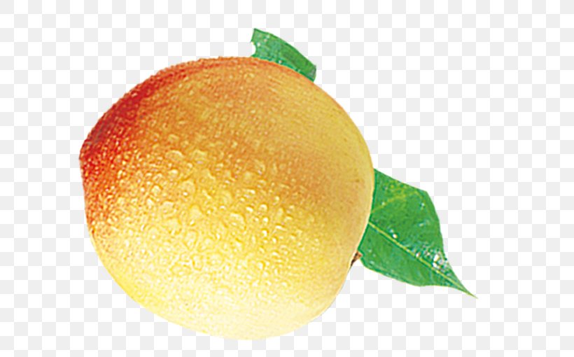 Blood Orange Grapefruit Peach, PNG, 600x510px, Blood Orange, Apple, Auglis, Citrus, Diet Food Download Free