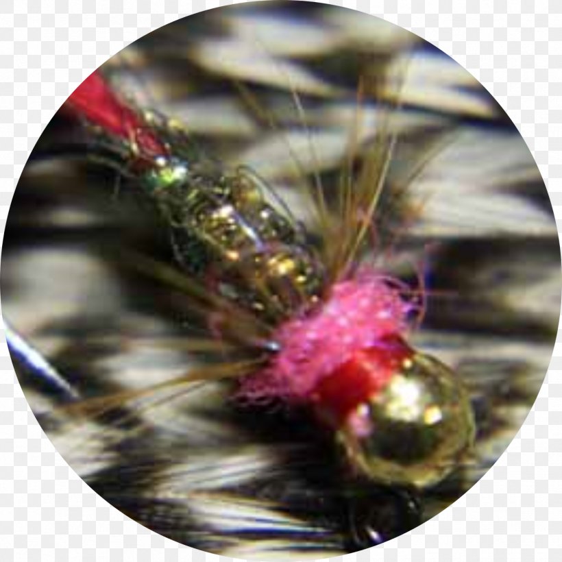 Fly Fishing Fly Tying Pheasant Tail Nymph Hackle, PNG, 1349x1349px, Fly Fishing, Fish Hook, Fishing, Fly, Fly Fish Food Download Free