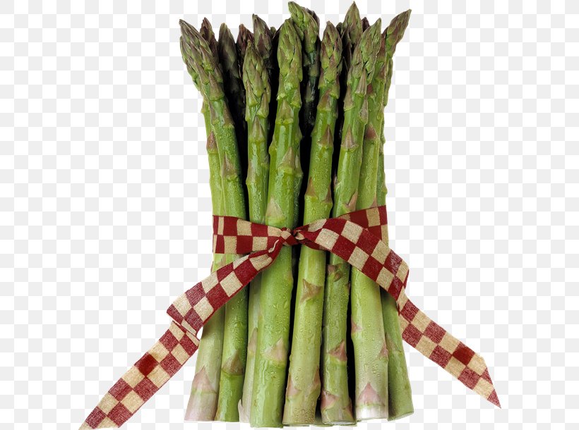 Asparagus Vegetable Health Folate Food, PNG, 600x610px, Asparagus, Folate, Food, Green, Health Download Free