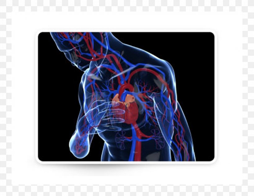 Heart Arrhythmia Myocardial Infarction Cardiac Arrest Cardiology, PNG, 2200x1700px, Watercolor, Cartoon, Flower, Frame, Heart Download Free