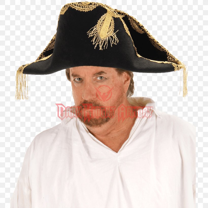 Hector Barbossa Pirates Of The Caribbean: Dead Men Tell No Tales Bicorne Hat Tricorne, PNG, 850x850px, Hector Barbossa, Beard, Bicorne, Cap, Clothing Accessories Download Free