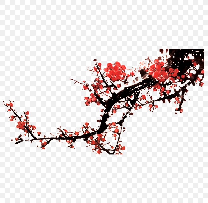 Plum Blossom Classic Of Poetry Chinese Pickles, PNG, 800x800px, Plum Blossom, Blossom, Branch, Cherry, Cherry Blossom Download Free