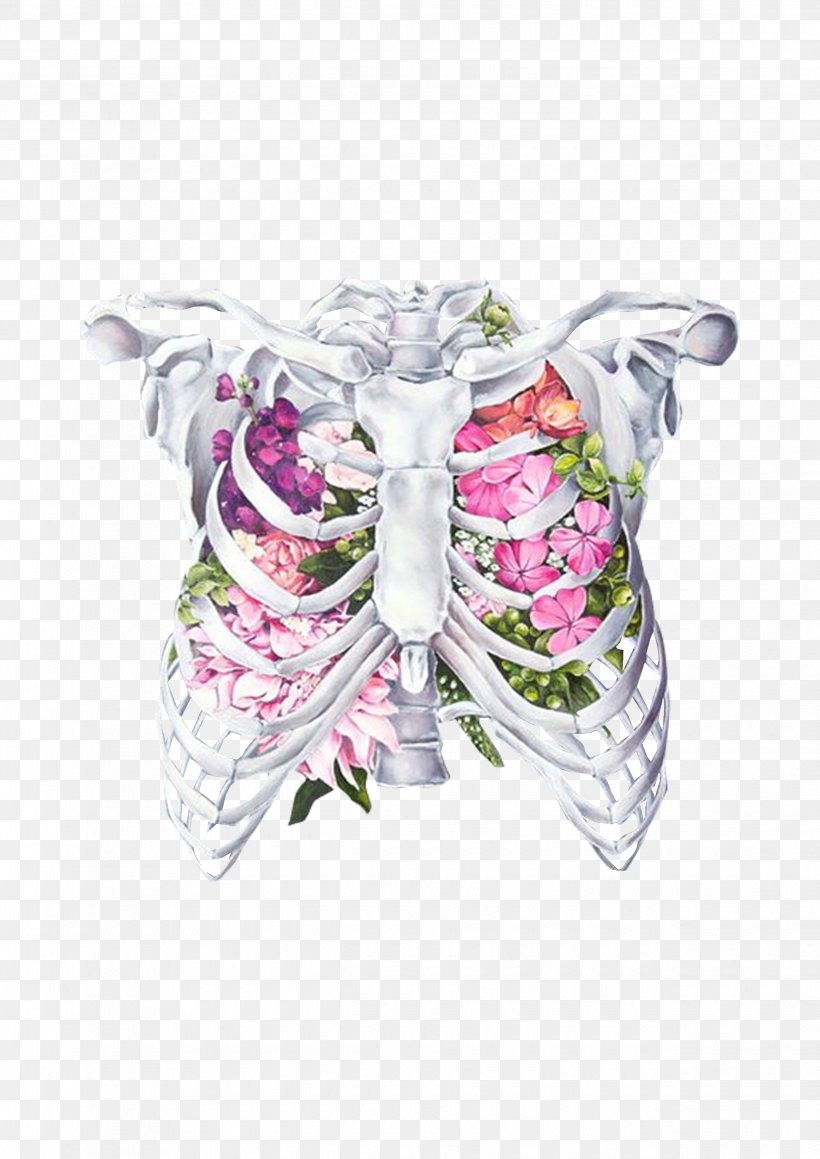 Anatomy Rib Cage Flower Human Body Drawing, PNG, 2480x3508px, Anatomy, Art, Artist, Butterfly, Drawing Download Free