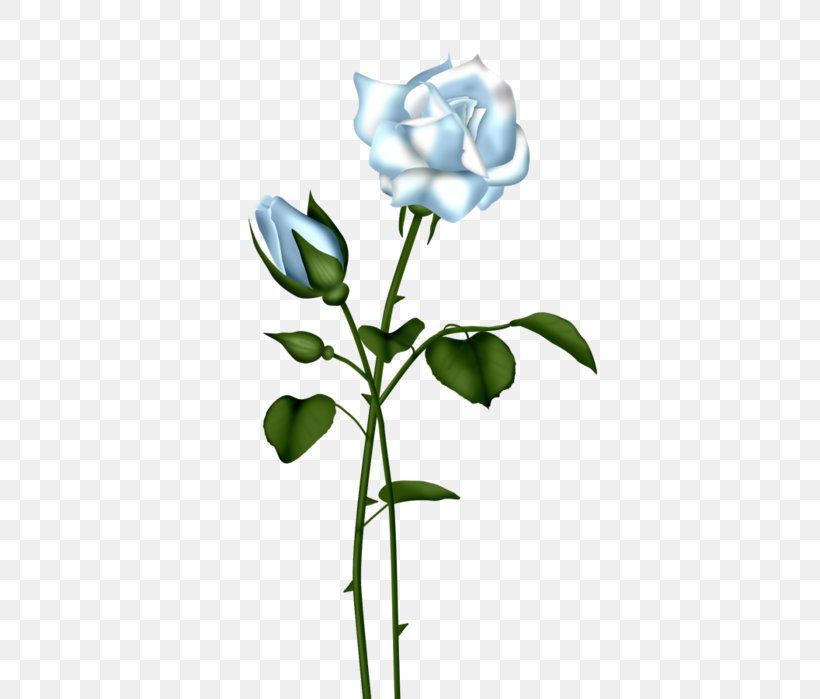 Blue Rose Clip Art, PNG, 438x699px, Blue Rose, Blue, Blue Flower, Branch, Bud Download Free