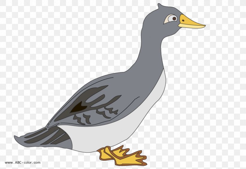 Duck Goose Anser Drawing Clip Art, PNG, 822x567px, Duck, Anser, Beak, Bird, Canada Goose Download Free
