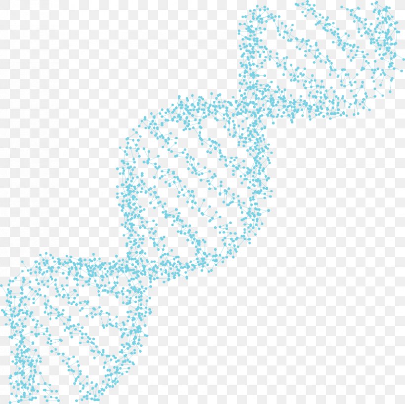Genealogical DNA Test Tauros Diagnostik GbR Fuglebiksen Monday, PNG, 852x850px, Genealogical Dna Test, Aqua, Bird, Dna, Monday Download Free
