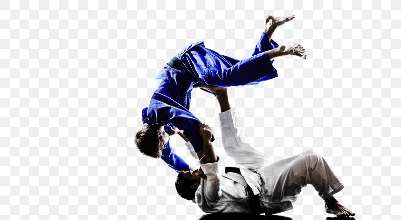 Judo Jujutsu Mixed Martial Arts Brazilian Jiu-jitsu, PNG, 660x450px, Judo, Aikido, Brazilian Jiujitsu, Combat Sport, Dancer Download Free