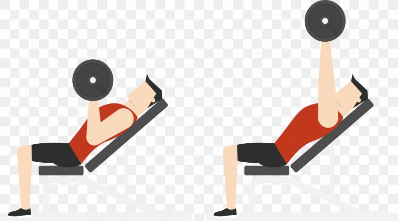 Physical Exercise Euclidean Vector Physical Fitness Barbell Bench Press, PNG, 4589x2548px, Physical Exercise, Barbell, Bench, Bench Press, Bodybuilding Download Free
